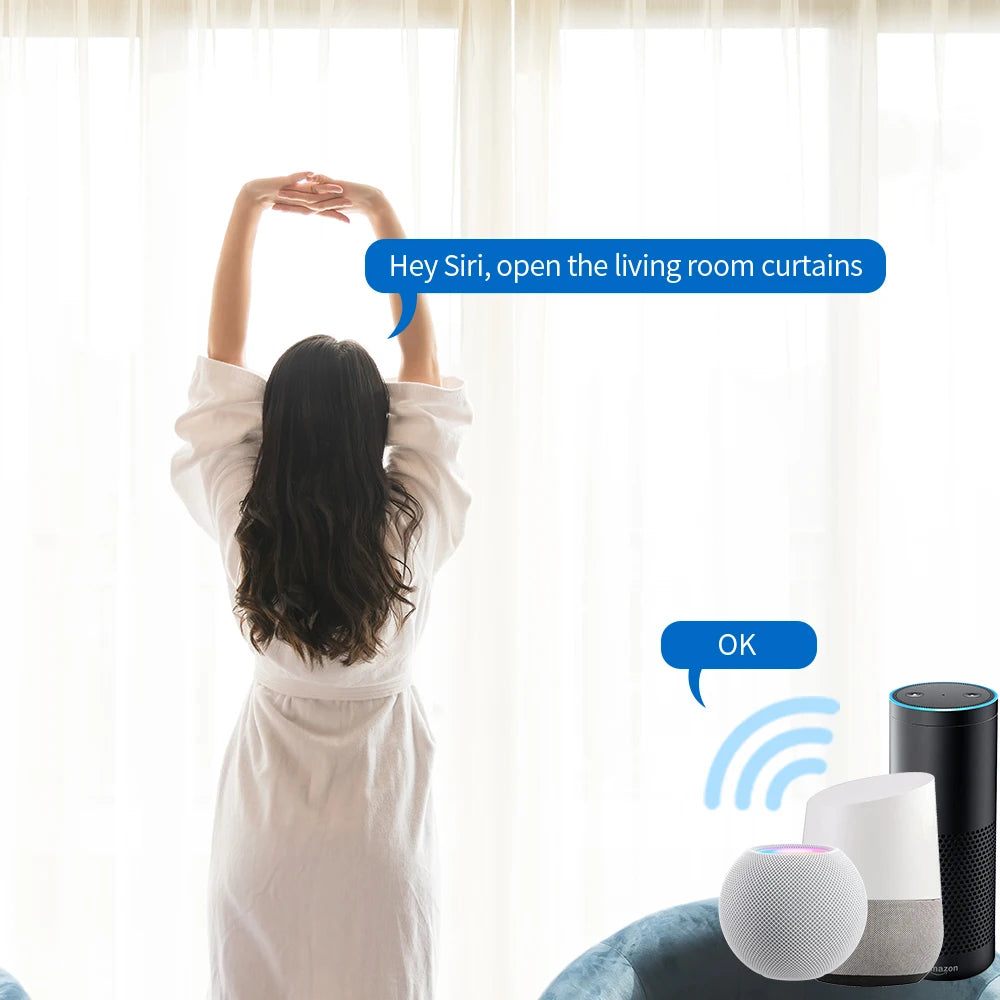 WiFi Smart Curtain Motor