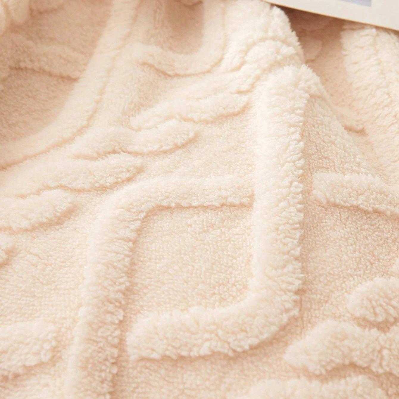 Coral Fleece Blanket