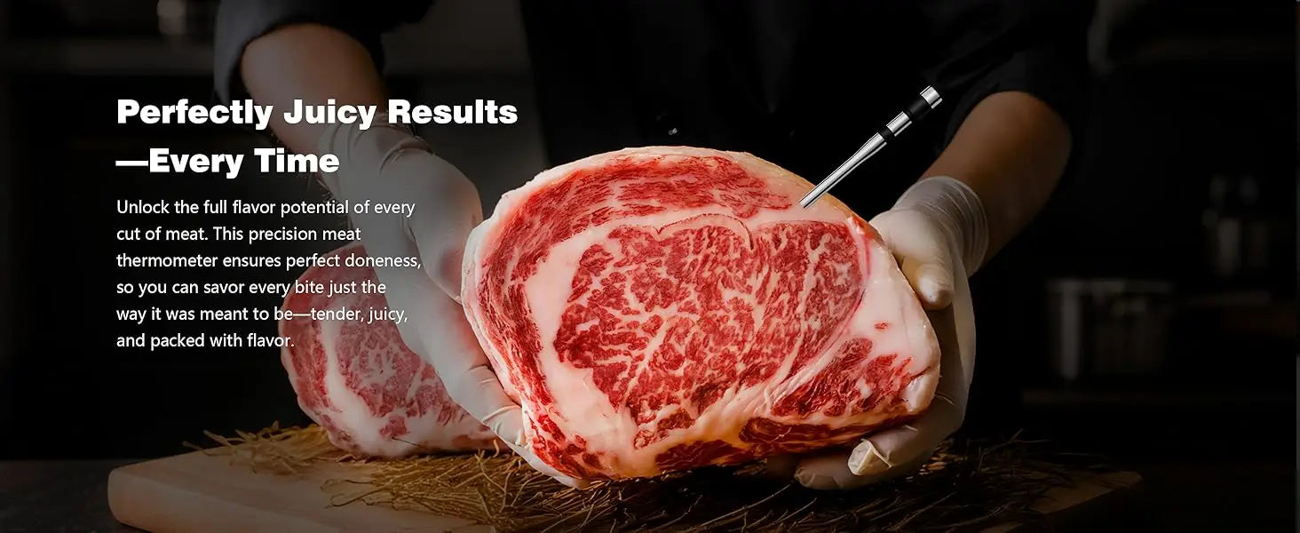 Wireless Bluetooth Meat Thermometer